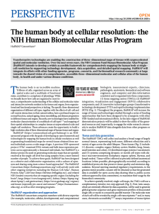 sugarcane_gigascience_2019