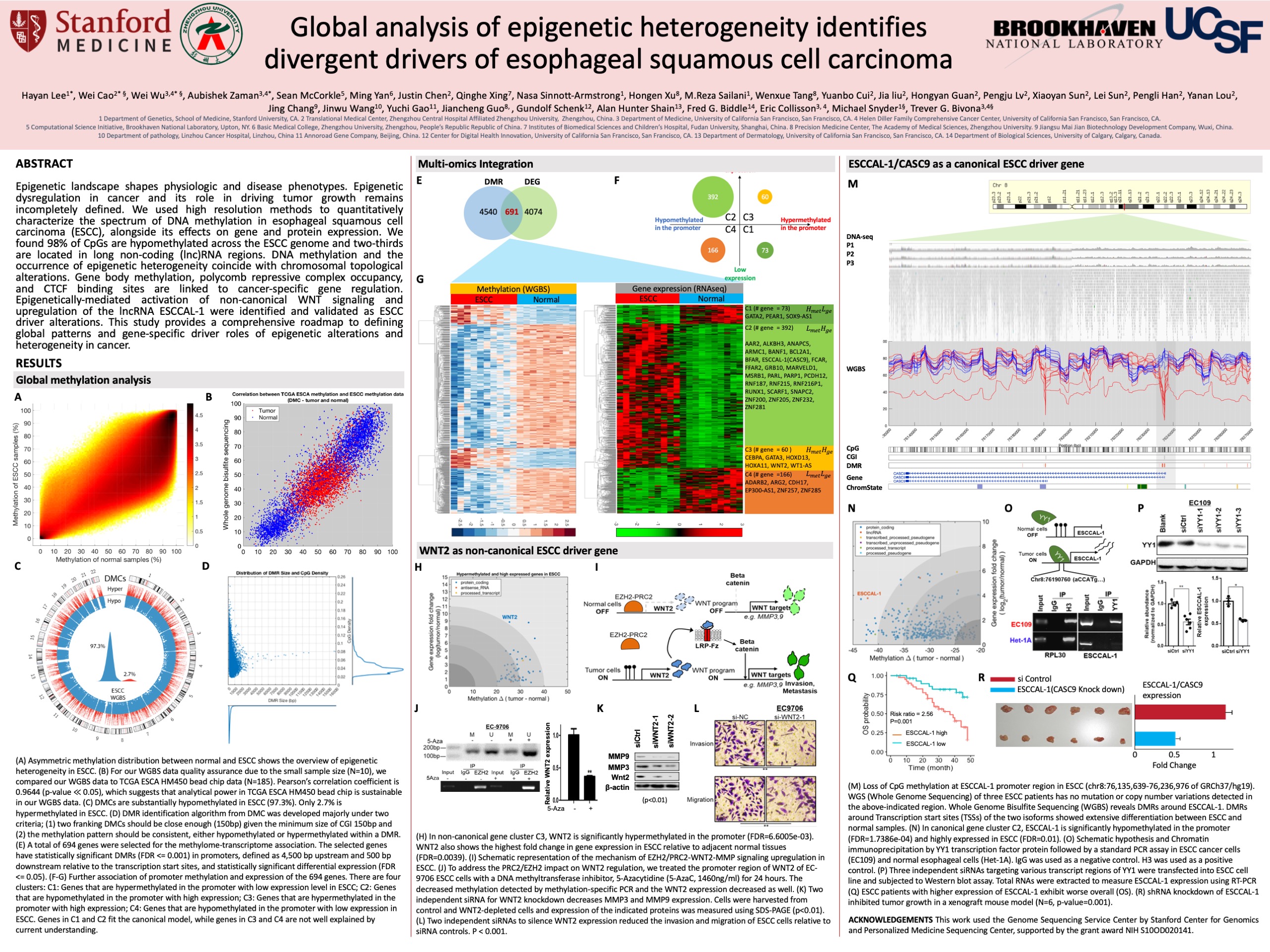 ESCC_Poster_HTAN_191118_Hayan_Lee_48x36