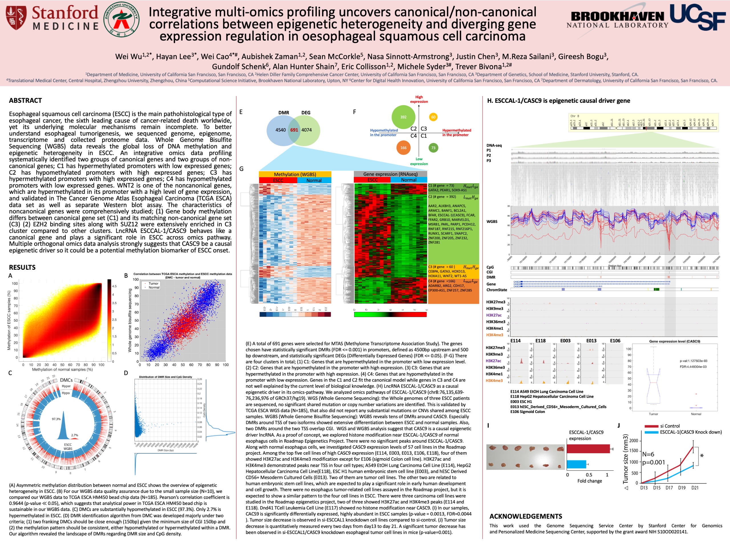 Poster_CEGS_ESCC_Hayan_Lee_36x48